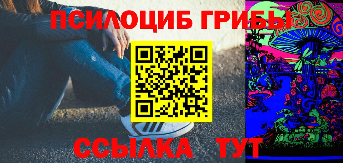 Ртищево  Галлюциногенные грибы Psilocybine cubensis  Галлюциногенные грибы Cubensis  Вход с VPN 