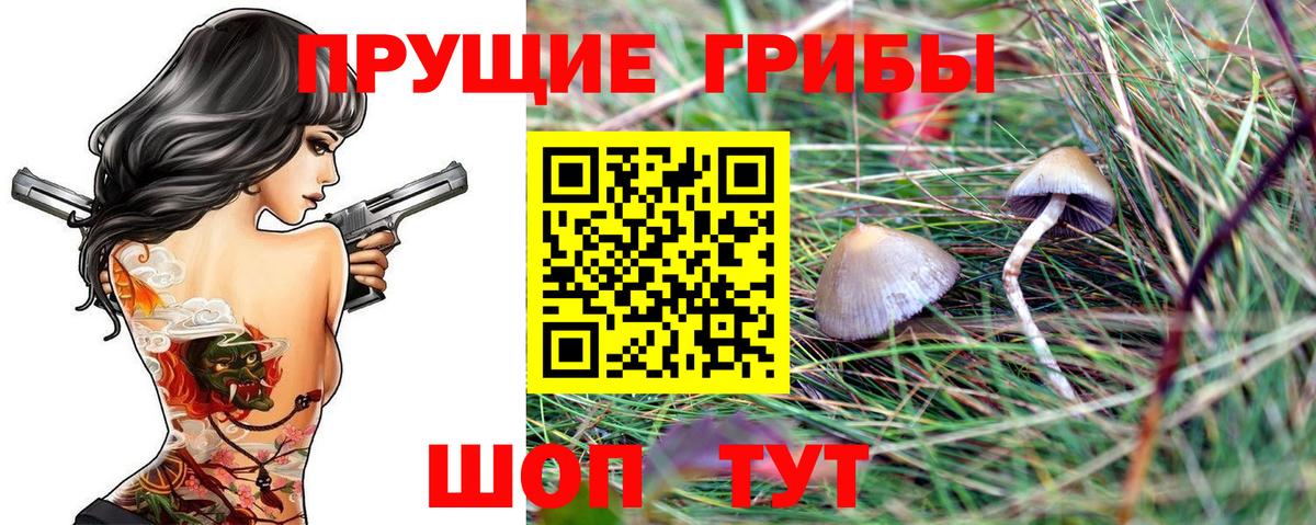 Галлюциногенные грибы прущие грибы Ртищево